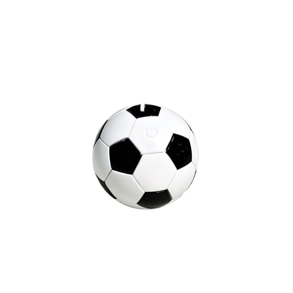 Video Mini Portable Action Camera